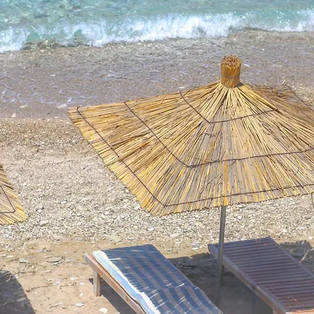 Emily's * Himara